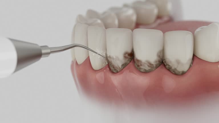 Reliable Dental contractor in Cane Savannah, SC by Dentist Open Now